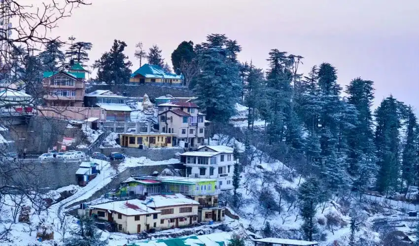 Shimla_Winter_Gallery_Image_1