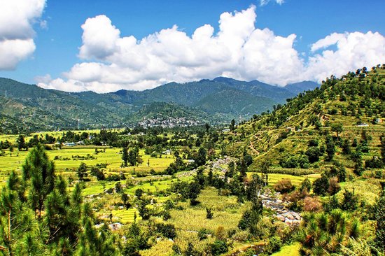 kamaksha-devi-temple