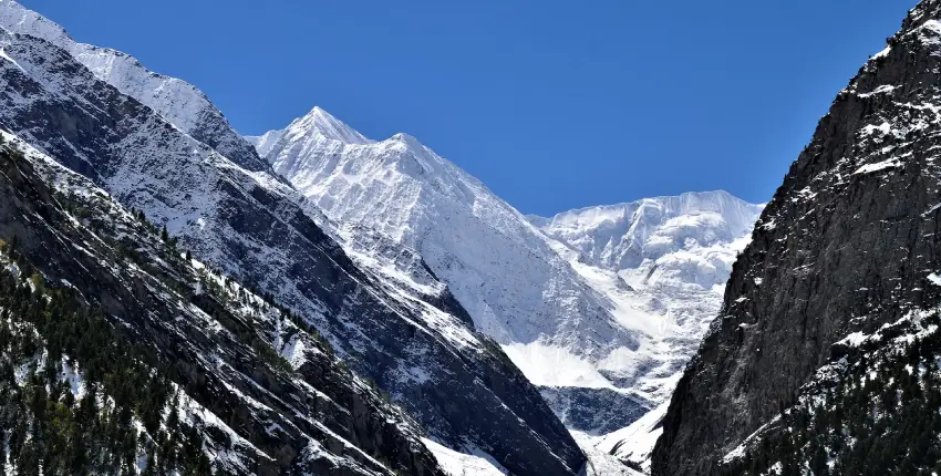 Himachal's Snowy Serenity 