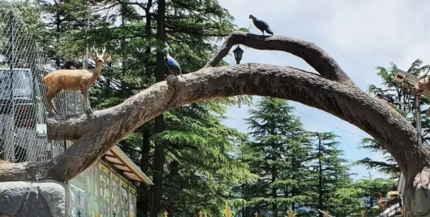 Natural beauty of the Himalayas at Kufri Zoo