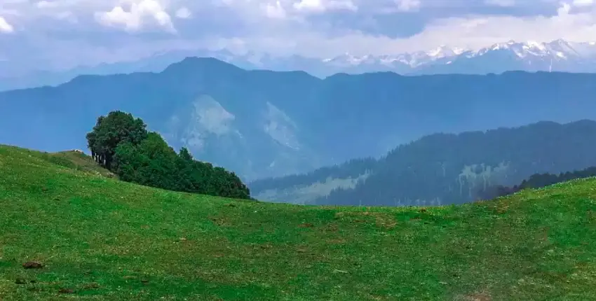 the rugged beauty of Jibhi's trekking trails