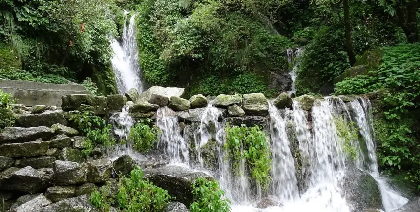 Bara Pathar: Nature's Serenity in Dalhousie 