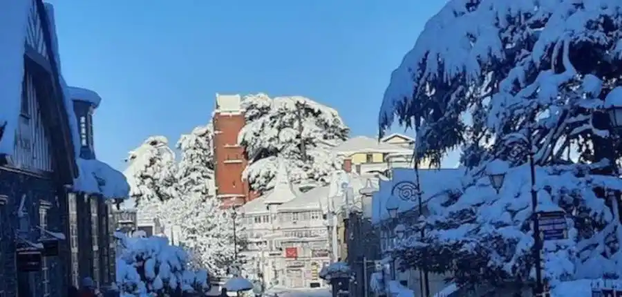  Shimla Snowfall