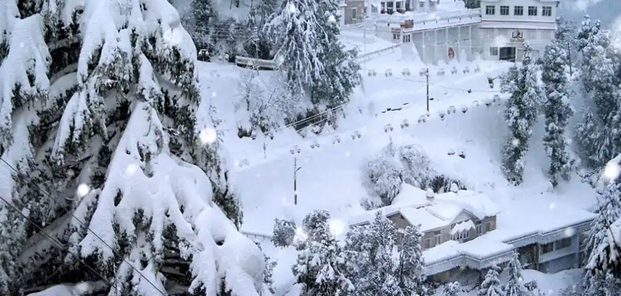 Shimla's Winter Delights