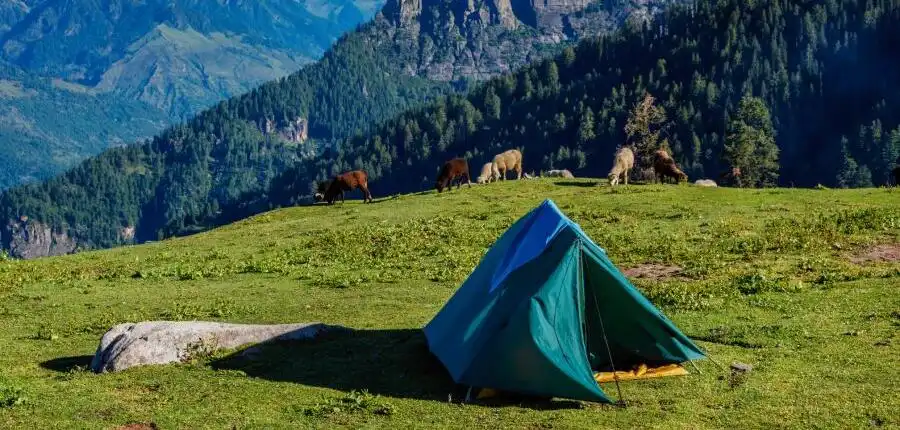  Camping in Himachal 