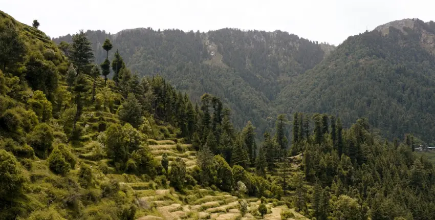 Himachal Pradesh