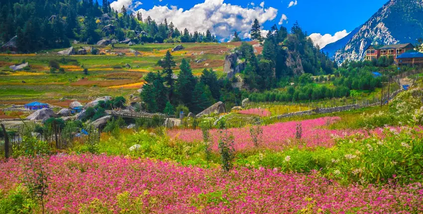 Beautiful view of Rakcham at Sangla Valley