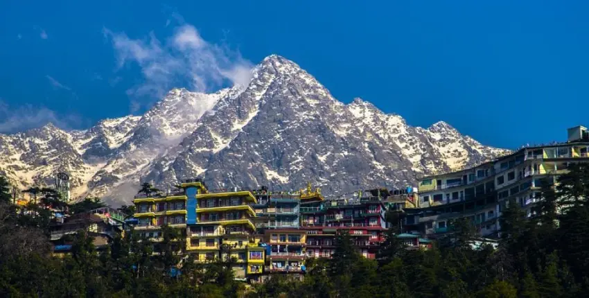 Dharamshala Peaks' Silent Wisdom 