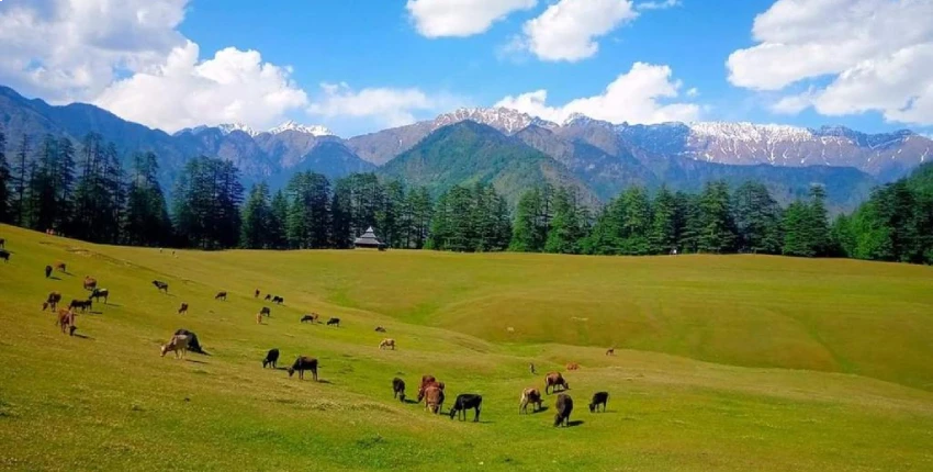 Explore the hidden paradise that is Sainj Valley.