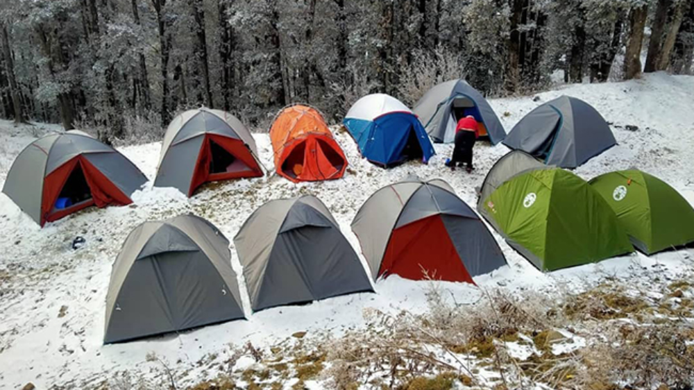 Hillside Haven: Camping in Shimla"
