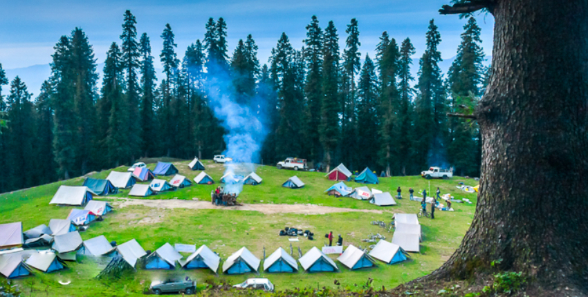 Forest Dreams: Shimla Wilderness Camp