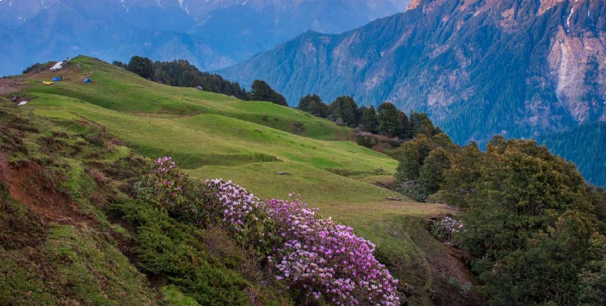 Lost in the Beauty of Sainj Valley.