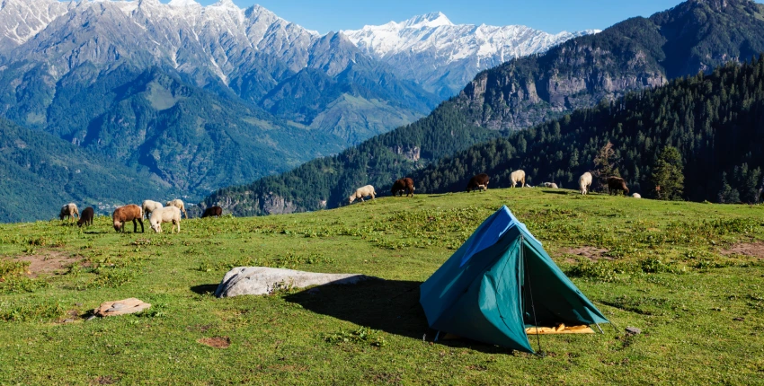 Camping in Himachal