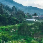 Immerse yourself in the rich cultural tapestry of Sarahan