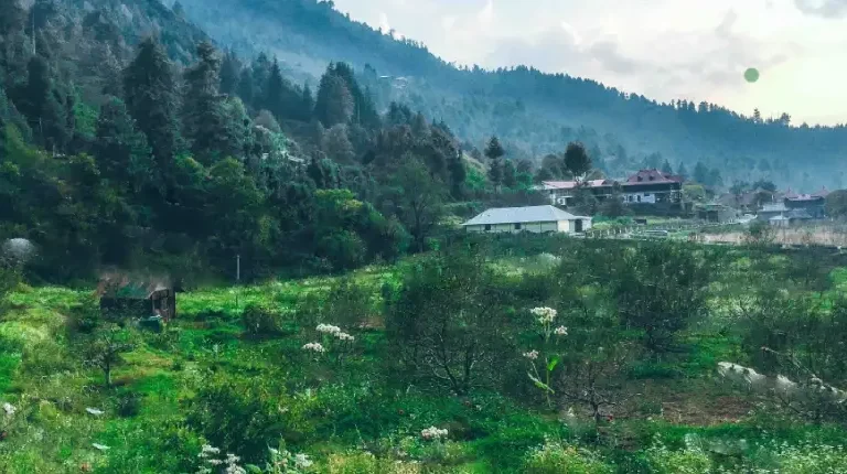 Immerse yourself in the rich cultural tapestry of Sarahan