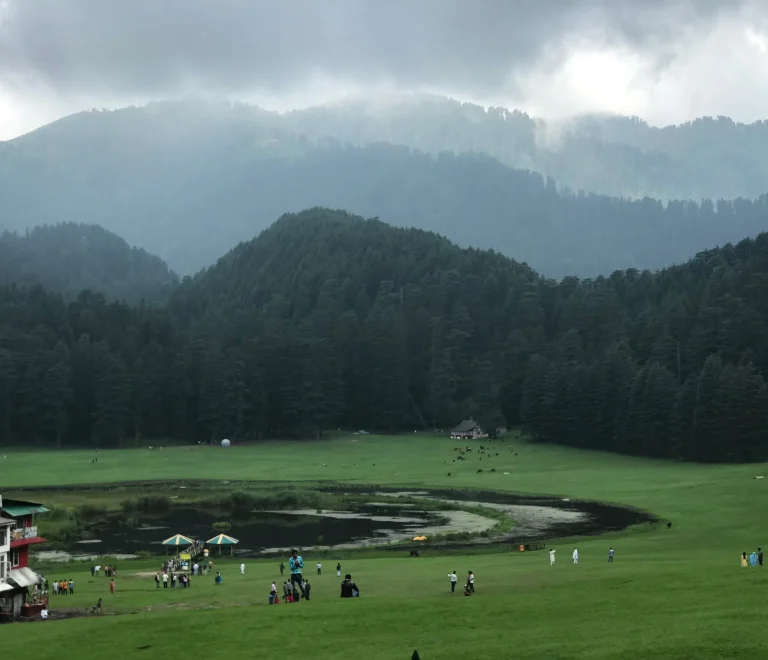 2dcb78c76e5c376bd4d61eb326b9aa5c scaled 1