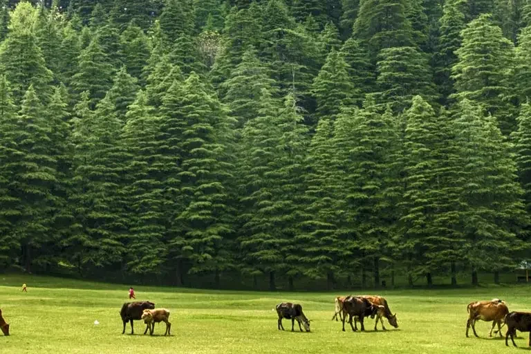 Dalhousie Guide Featured Image 1