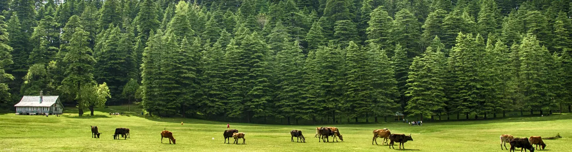 Dalhousie Guide Featured Image 1