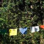 Himachal Traditional Folklore Header Image