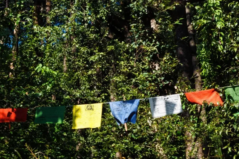 Himachal Traditional Folklore Header Image