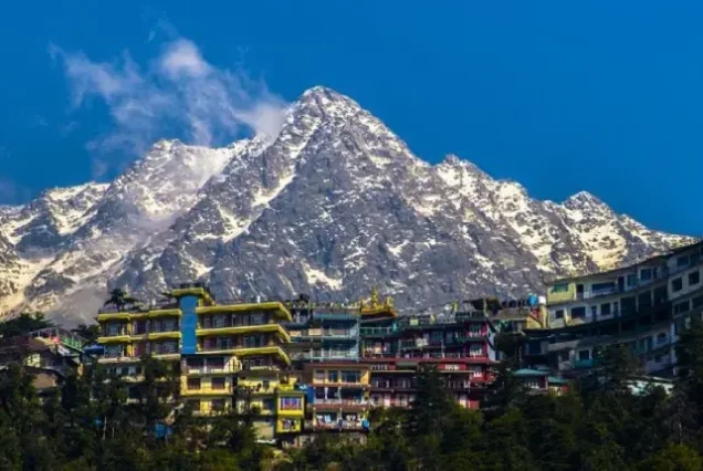 Dharamshala Peaks' Silent Wisdom