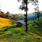 1607080967463 forestTirthanValleyTrek