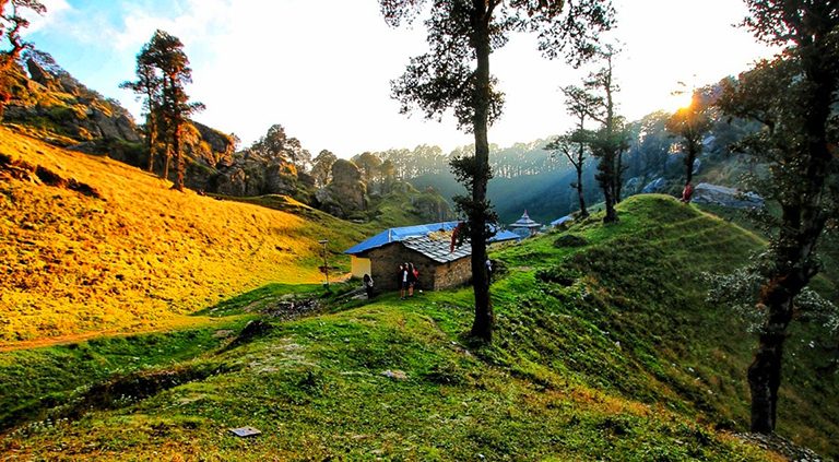 1607080967463 forestTirthanValleyTrek