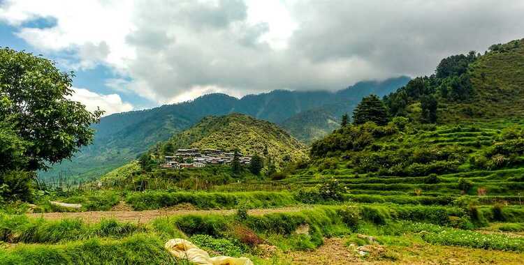 Barot Valley - A Place Known As, “A Trekker's Paradise” 5 Barot Valley Gallery Image.3