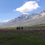 Miyar Valley_Header_Image