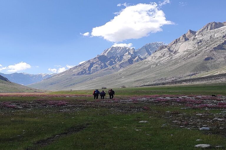 Miyar Valley_Header_Image