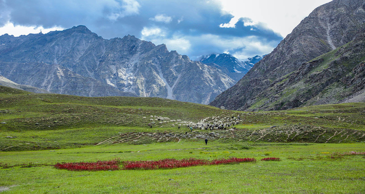 Miyar_Valley_Featured_Image