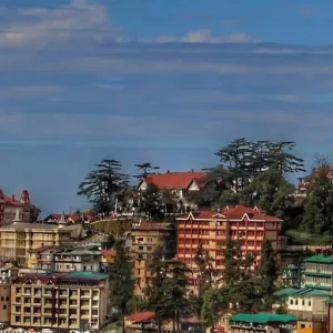 Shimla Header Image 1