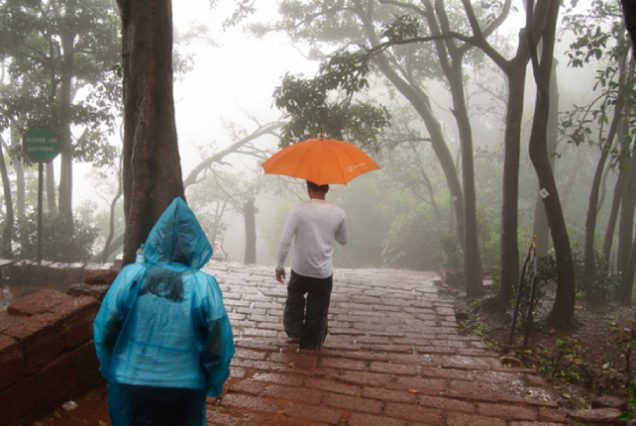 Honeymoon Special - Shimla Manali Tour Package by Volvo