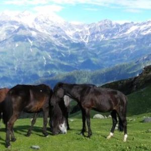 Kullu Manali Tour Packages From Chennai