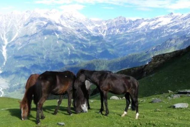 Manali Tour Package From Pune By Flight to Chandigarh - [5N/6D]