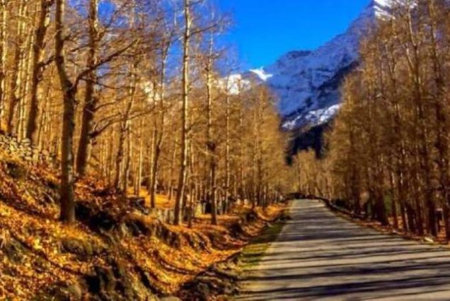 Manali Tour Package From Chennai By Train - [7N/8D]