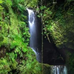 Pulga Waterfall Header 1