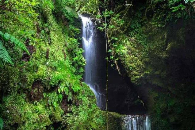 Himachal Tour Package 8 Nights 9 Days - Ex Delhi