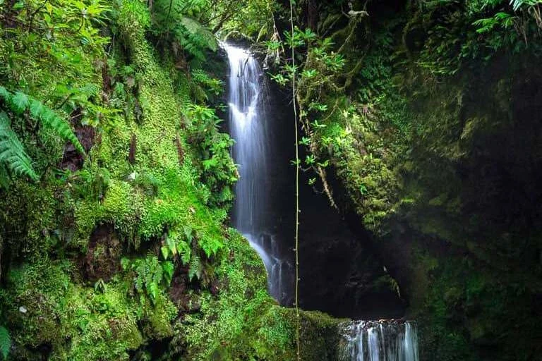 Pulga Waterfall Header 1