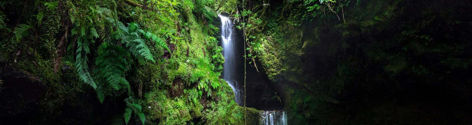 Pulga Waterfall Header