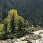 Barot Valley Camping Header Image