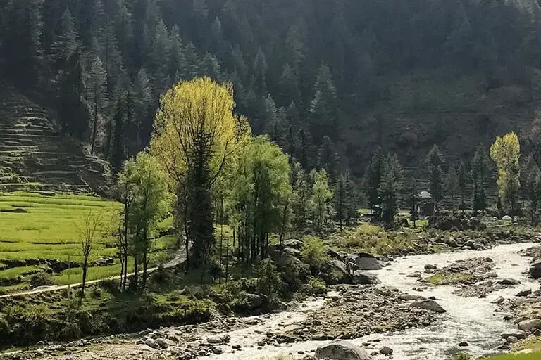 Barot Valley Camping Header Image