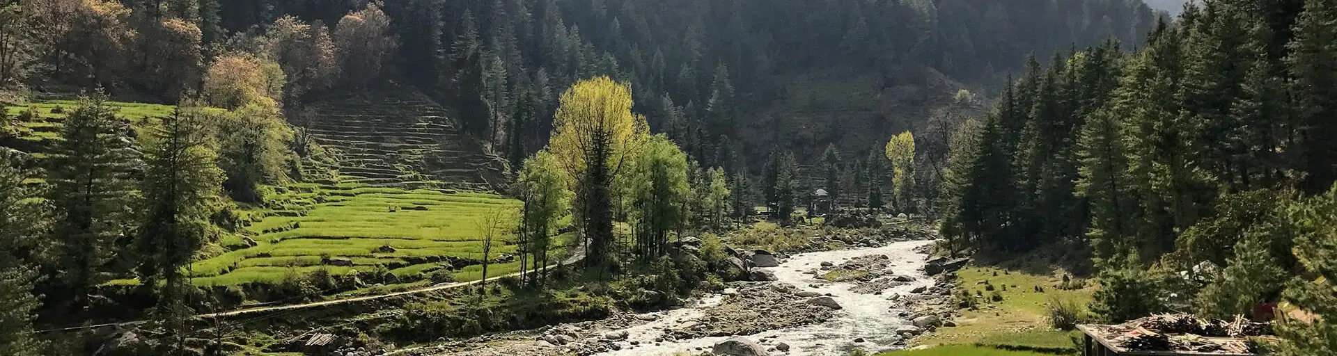 Barot Valley Camping Header Image