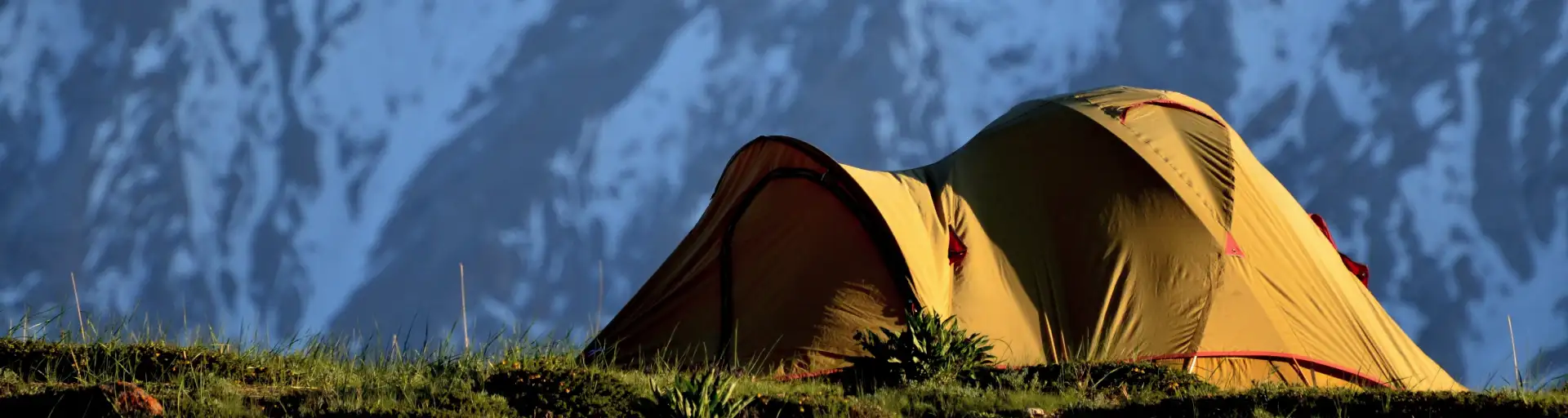 Camping In Shimla Featured Image