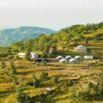 Camping In Dharamshala Cover Image