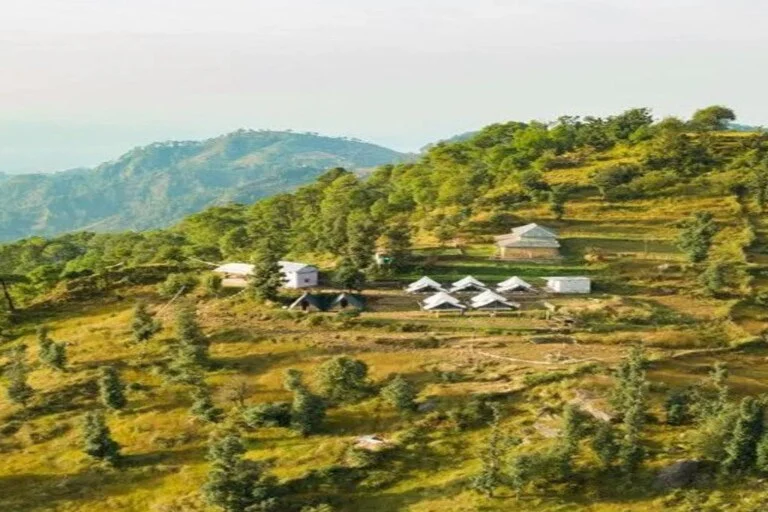 Camping In Dharamshala Cover Image