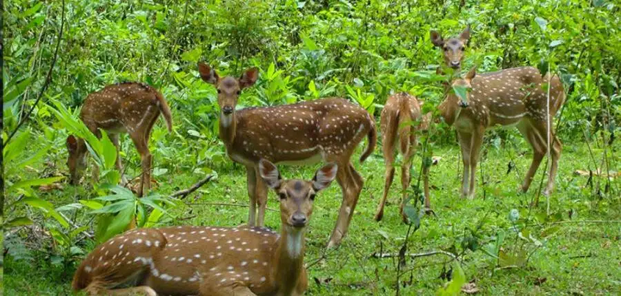 Kalatop Wildlife Sanctuary Gallery image 3