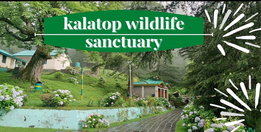 Kalatop Wildlife Sanctuary Image 1