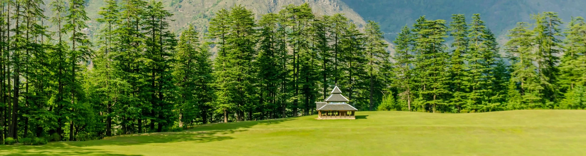 Sainj Valley In Kullu