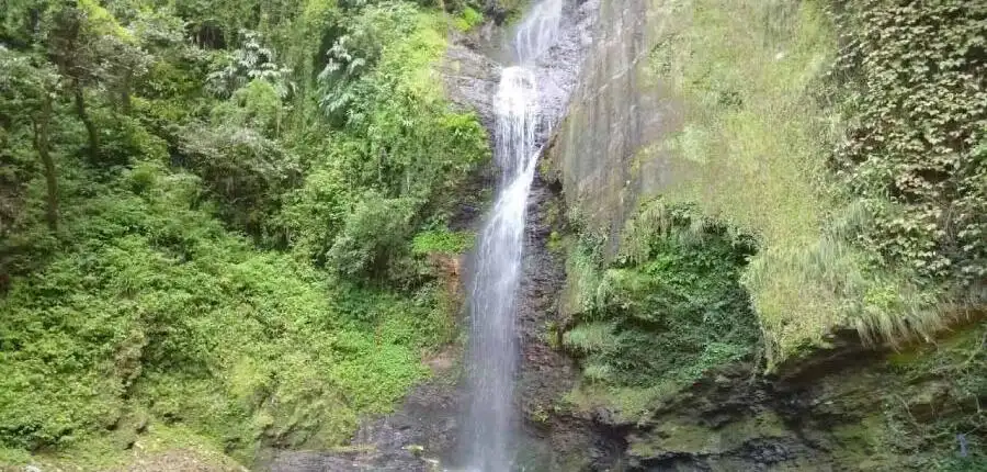Places to visit in Shimla - Shimla's Natural Beauty 7 Chadwick Falls